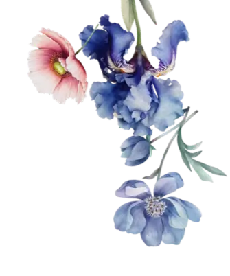 002.webp
