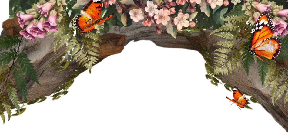 04 4.webp